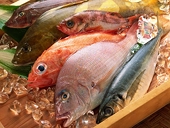 Seafood exports expected to hit US$8 bil by 2020