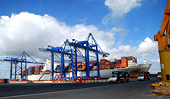 Vietnam import rules to fight fakes, not legitimate imports