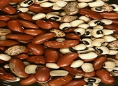 Russia bans import of seeds, beans from Egypt