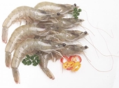 Sea food exports from India slip in April-May