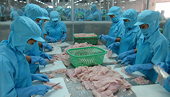 Vietnam, EU look forward to free trade argreement