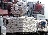 Rice export: many businesses “give up the games”