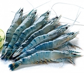 India: 'Zeroing' by US affecting shrimp exports