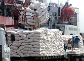Rice exports face challenges from foreigners in Cambodia