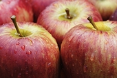 Importation of New Zealand apples threaten Australia's local industry: lawmaker