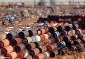 Local gov't to probe toxic waste dumping in SW China