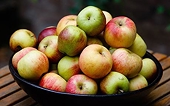 HP assembly for imposing anti-dumping duty on Chinese apples