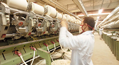 Egypt yarn producers accuse exporters of dumping