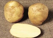 China rules EU subsidizes potato starch