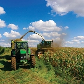 EU farm losses from trade deal with Mercosur ‘would range 1 to 3 billion Euros’