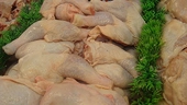 China WTO Chicken Meat Case is Complicated	