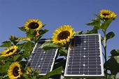 US: Lawmaker urges action against solar panel imports