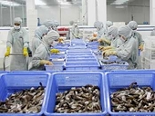 China asks for WTO panel in US shrimp case