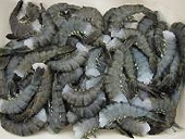 WTO to rule on China-US dispute on shrimps saw blades