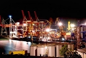 Number of trade restrictions up: WTO