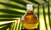 EU may impose higher tariffs on RI biofuel