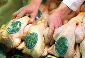 U.S. asks for WTO panel in poultry spat with China