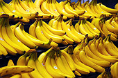Indonesia: Government imposes anti-dumping duties on Cavendish banana
