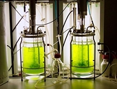 United States of America: Expiration of subsidy and tariff on ethanol