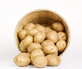 China to extend anti-dumping duties on EU potato starch