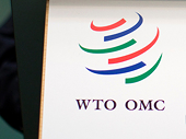 WTO anti-dumping ruling could help Russian miners