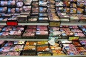 South Africa: Keeping cheap Brazilian chicks in line with duties