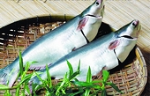 US cuts dumping duty on tra fish