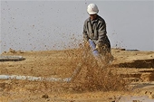 EU, U.S., Japan launch rare earth WTO case against China