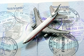 India challenges U.S. visa rules at WTO, eyes steel case