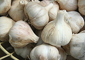 US tariff on Chinese garlic imports 'unjust'