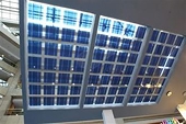 China-based polysilicon makers urge government to investigate dumping