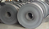 India escalates US steel duties dispute at WTO