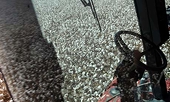 US pushed to reform cotton subsidies in farm bill as Brazil watches