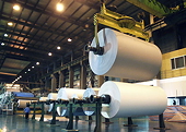 MOF keeps relaxed rules on coated paper imports