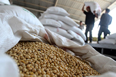 Indonesia Suspends Soybean-Import Tax as Tofu-Makers Strike