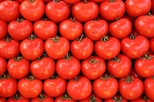 U.S. announces review of tomato agreement