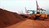 China Made Little Change to Rare Earth Quotas