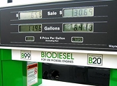 Argentina, Indonesia accused of dumping biodiesel in EU