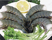 US imposes anti-dumping tax on Vietnamese shrimp exporters