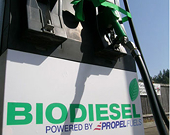 EU starts anti-dumping investigation on RI biofuel