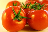 U.S. to End Mexican Tomato Pact, Raising Risk of Trade War