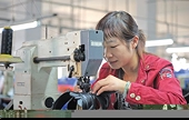 China: European court ruling boost Chinese entrepreneurs' confidence           