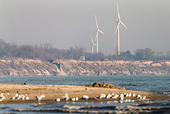 Canada: Ontario Clean-Energy Subsidies Break Rules, WTO Says
