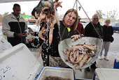 US shrimpers target Thai imports