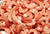 India: Seafood exporters to oppose US countervailing levy on shrimps