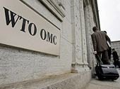 WTO meeting on seal products dispute opened to the public