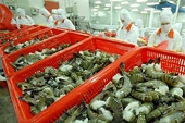 Vietnam opposes US shrimp lawsuit
