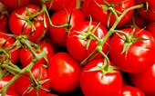 U.S. groups fear big price hikes, trade war over Mexican tomatoes