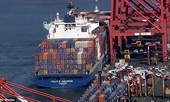 Arab: Cabinet ratifies GCC anti-dumping law