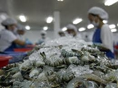 U.S. to continue shrimp trade probes against seven countries